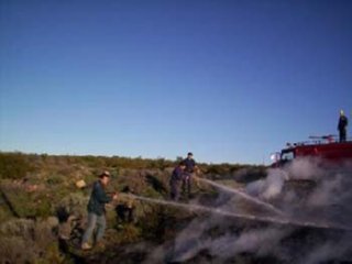 FUEGO CAMPO 03  ECOLOGIA